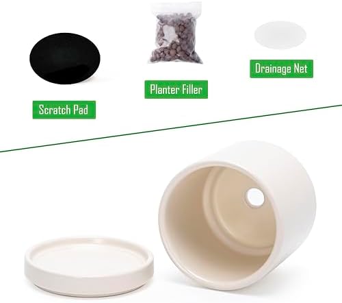 D'vine Dev 2-Pack Ceramic Pots with Saucers, Oatmeal, 3.5 in, 94-V-A-8 - Image 4