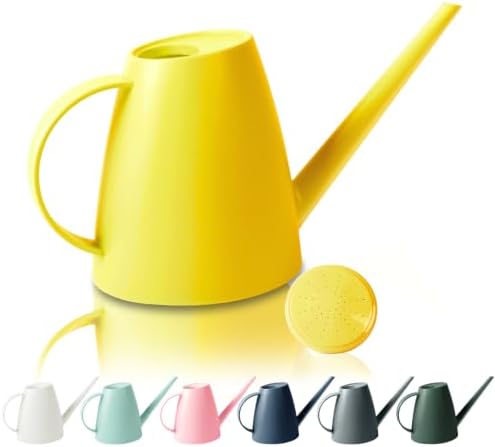 60 oz Watering Can, Watering Can Indoor Plants, Long Spout Small Water Can by Protectyourbeautifullife