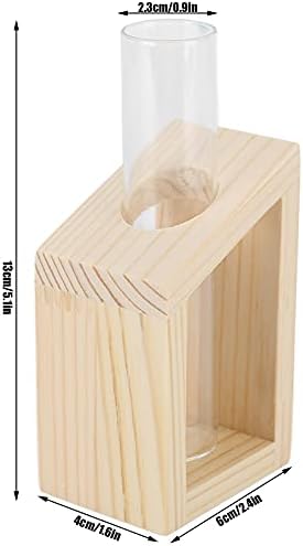 Eujgoov Hydroponic Vase Single Tube Glass with Pine Wood Stand - Image 2