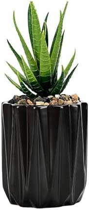 Succulent Plant Pots Ceramic Plant Pots and Drainage Hole Bonsai Planter Small Flower Pots for Indoor Outdoor Use for Home Office Garden Decoration,Plants Not Included (Black) by SUSOYAOCHEN