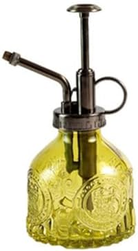 Spray Bottle for Plants, Plant Mister Spray Bottle, Glass Plant Mister Spray Bottle, Embossed Vintage Glass Watering Can, Succulent Watering Bottle with Top Pump for Outdoor (S) by Unknown