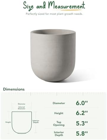 LE TAUCI 6 Inch Plant Pot, Ceramic Planter for Herbs & Small Houseplants, Tabletop Indoor Pot for Shelf, Desk and Windowsill, Small Planter with Drainage Hole & Rubber Plug, Neutral Gray - Image 3
