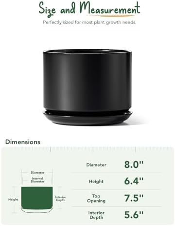 LE TAUCI Ceramic Pots for Plants, 8 Inch Plant Pot with Drainage Hole & Saucer, Modern Minimalist Planters for Indoor Plants, Round Flower Pot for Snake Plant, Monstera, Perfect for Home Decor, Black - Image 4