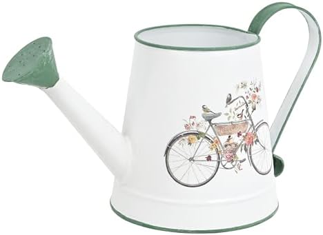 Small Metal Watering Can for Indoor & Outdoor Plants Garden Decor by Zokyntrix