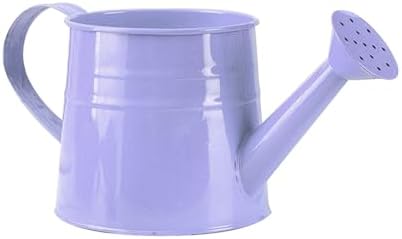 0.26 Gallon Small Watering Can, Small Modern Rustproof Indoor Watering Cans for House Plants with Sprinkler Head and Handle,Durable Decorative Lightweight Water Can for Plants for Outdoor Flower by Unknown