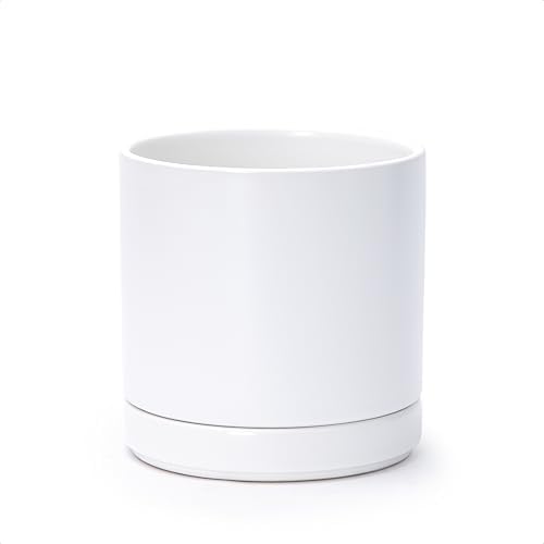 D'vine Dev 6.5 Inch Ceramic Planter Pot, White, 94-O-C-1 by DvineDevPlanterPotsandStand