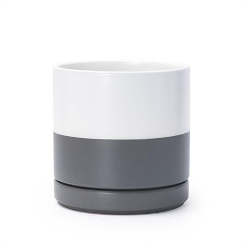 D'vine Dev 6.5 Inch Ceramic Planter Pot, White/Grey, 94-O-C-6 by DvineDevPlanterPotsandStand