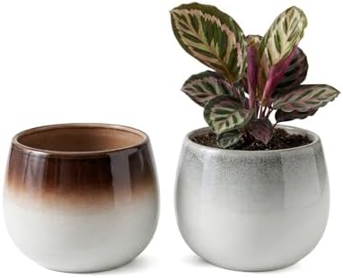Ceramic Plant Pots, 5.5 Inch Indoor Planters, Ombre Glaze for Houseplants by Sinwings