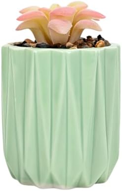 Cuteforyou Modern Textured Ceramic Succulent Planter Pot – 6 Color Options (No Plant Included) – Perfect for Small Plants, Cacti & Desk Decor – Lightweight & Durable (Green, 3.5'' Tall) - Image 2