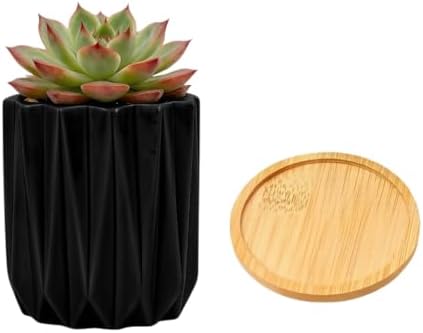 Cuteforyou Modern Textured Ceramic Succulent Planter Pot – 6 Color Options (No Plant Included) – Perfect for Small Plants, Cacti & Desk Decor – Lightweight & Durable (Black, 3.5'' Tall) by Cuteforyou