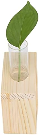 Eujgoov Hydroponic Vase Single Tube Glass with Pine Wood Stand - Image 4