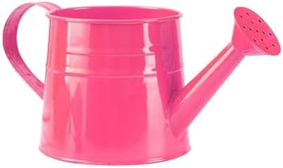Watering Can Outdoor, 0.25 Gallon Metal Small Capacity Watering Can Indoor Plants with Sprinkler Head,Decorative Lightweight Durable Watering Cans for Garden Lawn Bonsai Greenhouse (Rose Red) by Unknown