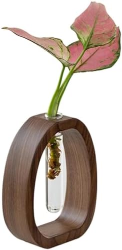 Propagation Vases Arrangements, Wood Stand, Glass Test Tubes, Decor by Unknown