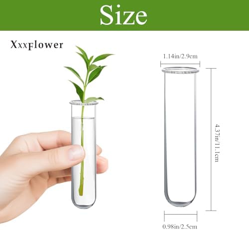XXXFLOWER Glass Propagation Stations Accessories 4 Tube Vases - Image 2