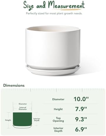LE TAUCI Ceramic Pots for Plants, 10 Inch Plant Pot with Drainage Hole & Saucer, Sturdy & Modern Planters for Indoor Plants, Includes Mesh Screen, Fits Snake Plant & Monstera, White - Image 5