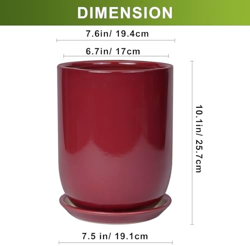 Ceramic Pot for Plants - 8 Inch Plant Pot Indoor with Drainage Hole and Saucer Cylinder Flower Pot for Indoor Outdoor Plants Home Patio Office Decor Red - Image 3