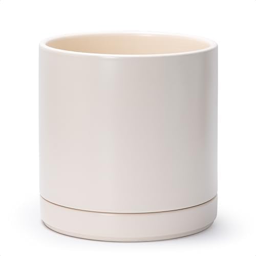 D'vine Dev 10 Inch Ceramic Planter Pot, Oatmeal, 94-O-E-8 by DvineDevPlanterPotsandStand