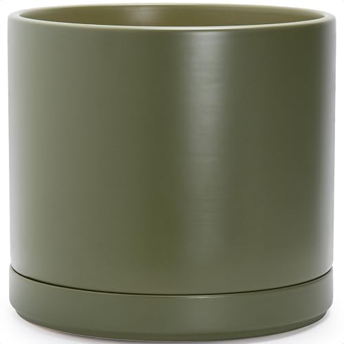 D'vine Dev 16 Inch Ceramic Planter Pot, Olive, 94-O-H-J by DvineDevPlanterPotsandStand
