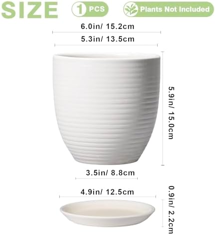 Ceramic Pots for Plants - 6 Inch Plant Pot with Drainage Hole and Saucer, Round Planters for Indoor Outdoor, Flower Pots, Modern Planter, Home Office Room Decor, Gifts for Plant Lovers, White - Image 2
