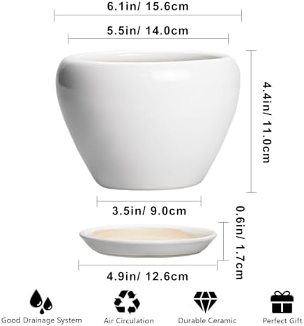Ceramicfor Ceramic Pot for Plants - 6 Inch Plant Pot for Succulent Plants, Glaze Modern Round Planter with Drainage Hole and Saucer, Gifts for Plant Lovers, Home Office Patio Room Decor, White - Image 3