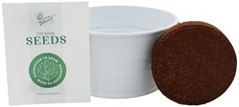 Buzzy Seeds Grow Your Own Christmas Tree Kit, Metal Basin Planter, Spruce - Image 4