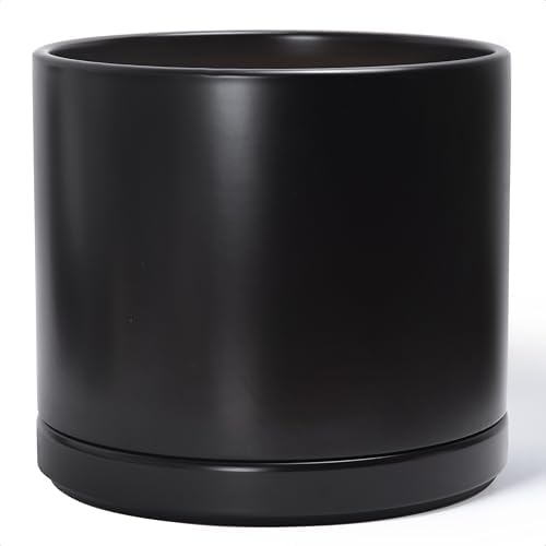 D'vine Dev 14 Inch Ceramic Planter Pot, Black, 94-O-G-2 by DvineDevPlanterPotsandStand
