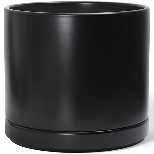 D'vine Dev 16 Inch Ceramic Planter Pot, Black, 94-O-H-2 by DvineDevPlanterPotsandStand