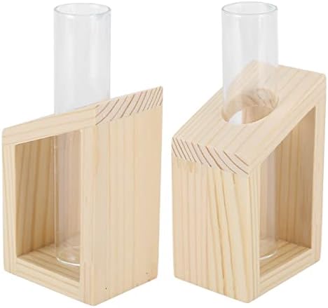 Eujgoov Hydroponic Vase Single Tube Glass with Pine Wood Stand - Image 3
