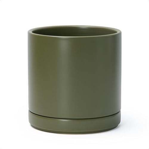 D'vine Dev 8.2 Inch Ceramic Planter Pot, Olive, 94-O-D-J by DvineDevPlanterPotsandStand
