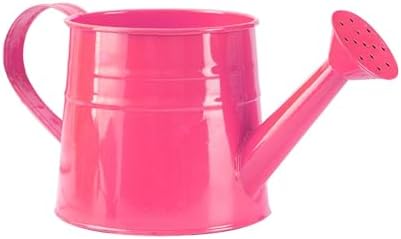 Galvanized Iron Watering Can, Tinplate Watering Kettle Small Flower Pot Plant Flower Pot, Durable Metal Flower Pot, Ideal for Gardening and Home Decor (I) - Image 2