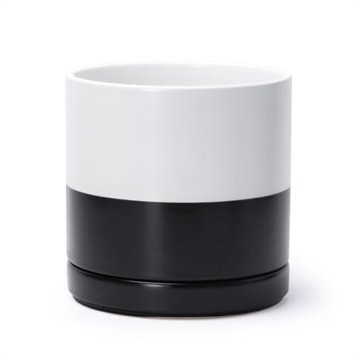 D'vine Dev 8.2 Inch Ceramic Planter Pot, Black White Two Tone, 94-O-D-L by DvineDevPlanterPotsandStand
