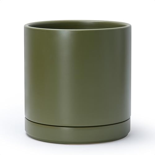 D'vine Dev 10 Inch Ceramic Planter Pot, Olive, 94-O-E-J by DvineDevPlanterPotsandStand