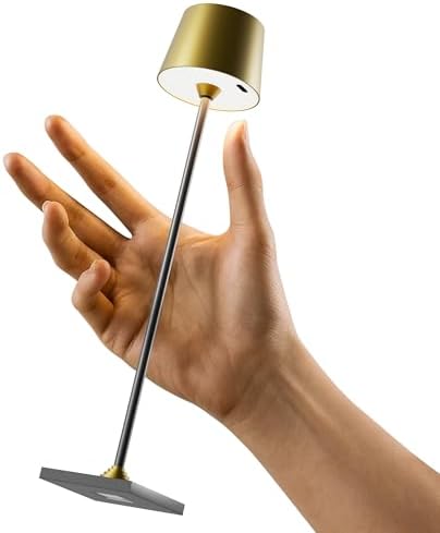 Timjorman Compact Cordless Table Lamp, Rechargeable LED Night Light, Dual Light Source (RGB Top & Warm Bottom), Touch Control & Timer, Metal Lamp for Bedroom & Kids Room (Antique Brass & Black) by Timjorman