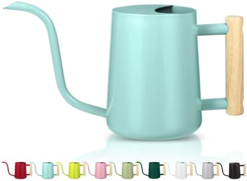 Watering Can Indoor Plants, 35oz Small Indoor Stainless Steel Metal Watering Can Modern Decorative Watering Pot with Long Spout for Indoor House Plant Bonsai Outdoor Garden Flowers Green by GUKJOB