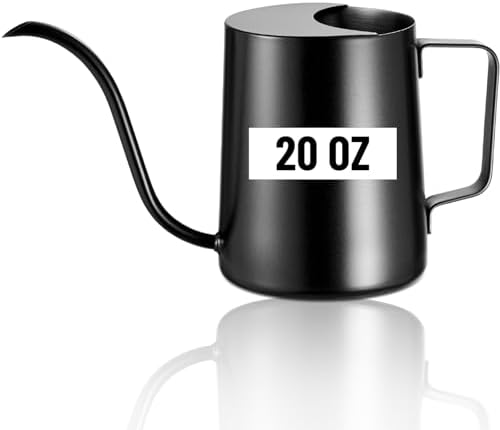 Watering Can Indoor Plants, 20oz Stainless Steel Long Spout, Black by LizhluzhFuelYourOutdoor