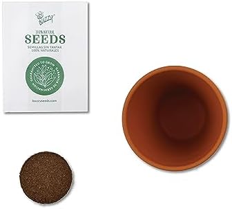 Buzzy Seeds Cactus Grow Kit 6-Pack, Mini Terracotta Pots, Indoor Garden - Image 4