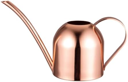 IMEEA Mini Indoor Watering Can for Small Plants, Stainless Steel with Long Spout, 15oz/450ml – Perfect for Desk, Windowsill & Bonsai by IMEEA