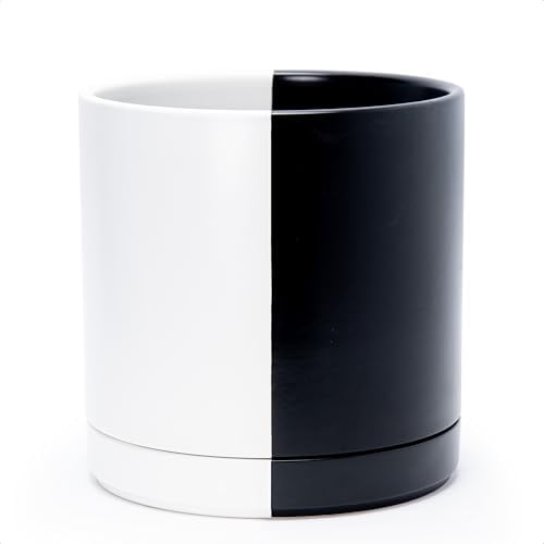 D'vine Dev 10 Inch Ceramic Planter Pot, Black White Split, 94-O-E-0 by DvineDevPlanterPotsandStand