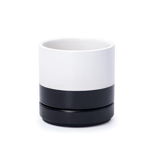 D'vine Dev 4.7 Inch Ceramic Planter Pot, Black White Two Tone, 94-O-B-L by DvineDevPlanterPotsandStand