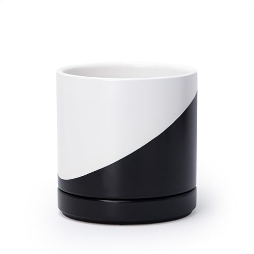 D'vine Dev 6.5 Inch Ceramic Planter Pot, Black White Diagonal, 94-O-C-K by DvineDevPlanterPotsandStand