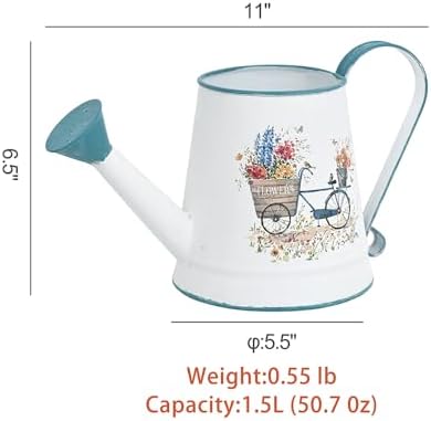 Small Metal Watering Can for Indoor & Outdoor Plants Garden Decor - Image 2