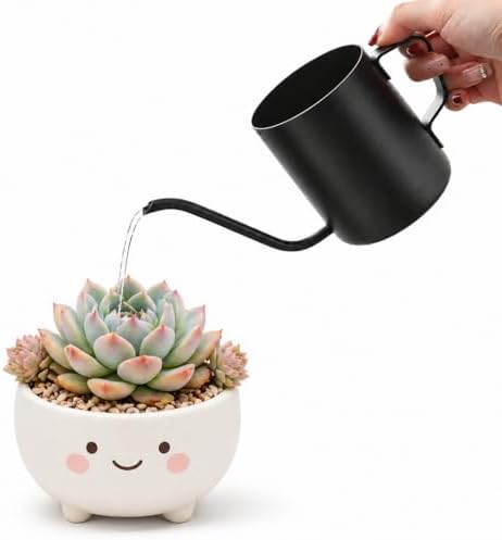 Watering Can for Indoor Plants, 12 oz / 350 ml Mini Plant Waterer, Stainless Steel Watering Can with Long Spout for House Plants, Succulents and Garden Decorative, Gentle Flow & No Spills by Unknown