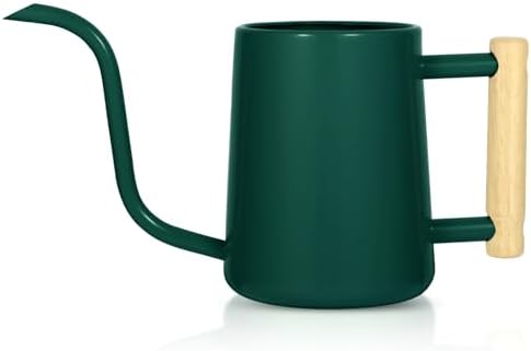 Watering Can Indoor Plants, 35 oz/1000 ml Metal Stainless Steel Watering Can Pot with Long Spout for Indoor House Plants Bonsai Outdoor Garden Flower Decorative (Alpinegreen) by Unknown