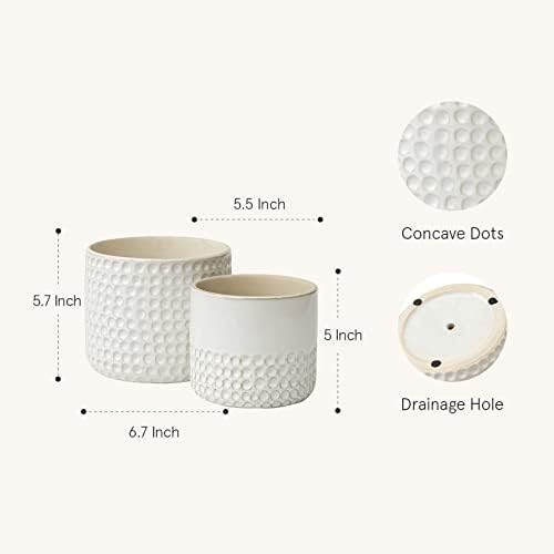 LA JOLIE MUSE Ceramic Plant Pots, Flower Pots for Indoor Plants, Set of 2 - Image 2