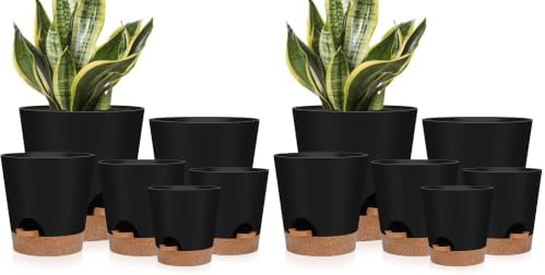YNNICO Indoor Self Watering Planters with Drainage Holes and Saucers, 8, 7, 6.5, 6, 5.5, 5 Inches, Black, 6 Pots (Pack of 2) by AFamilyofGardenLovers