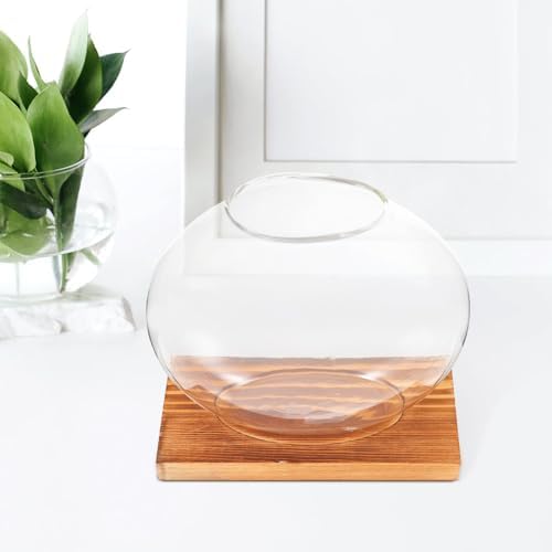 Hydroponic Glass Plant Vase with Wood Base, Small Desktop Flower Propagation Station for Indoor Garden and Office Home Décor - Image 6