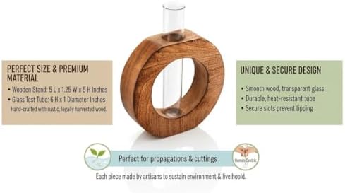 Wooden Plant Propagation Station Stand with Single Glass Test Tube Indoor Desktop Terrarium for Hydroponics Water Plant Cutting Flower Vase Planter Home Office Garden Decor Plant Lover Gifts, Brown - Image 3