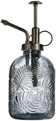 Spray Bottle for Plants, Plant Mister Spray Bottle, Glass Plant Mister Spray Bottle, Embossed Vintage Glass Watering Can, Succulent Watering Bottle with Top Pump for Outdoor (RR) by Unknown