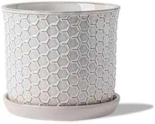 5.8 Inch Ceramic Plant Pot with Drainage Hole & Separate Saucer by Chubacoo