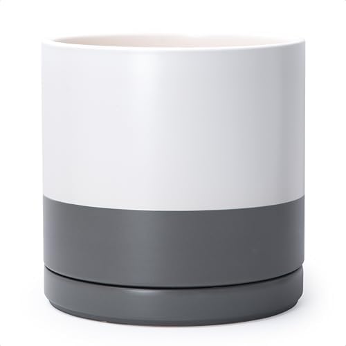 D'vine Dev 12 Inch Ceramic Planter Pot, White/Grey, 94-O-F-6 by DvineDevPlanterPotsandStand